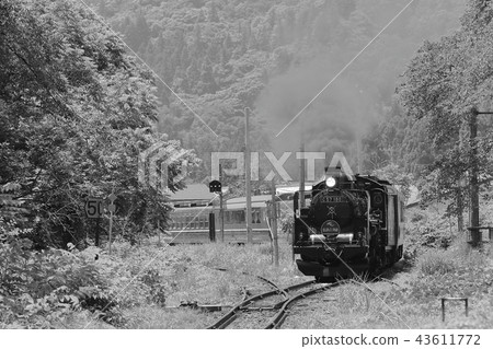 Ban oversea line SL of fresh green Ban oversea line SL of fresh green 43611772