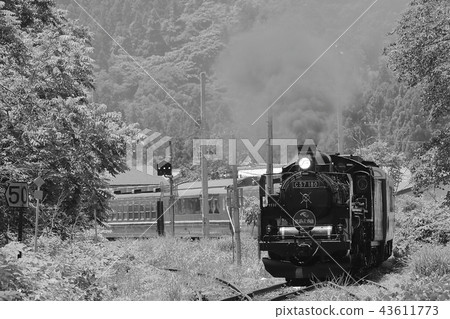Ban oversea line SL of fresh green Ban oversea line SL of fresh green 43611773