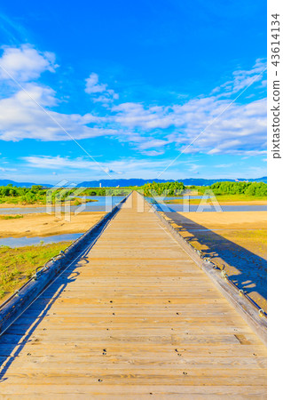 京都Kizugawa Nagarebashi（Uetsu yabashi） 43614134