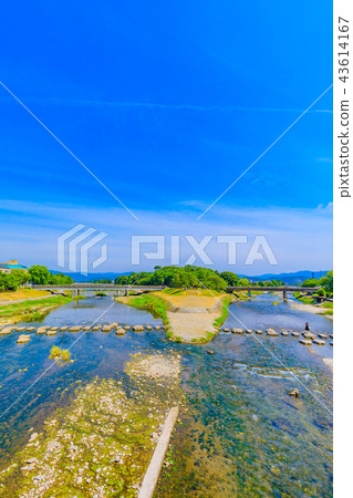 Yodogawa Delta in early summer of Kyoto 43614167