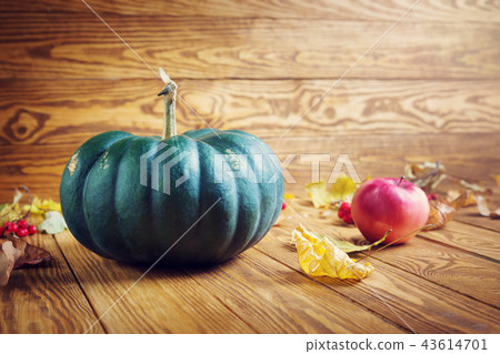 green pumpkin on old wooden background in autumn green pumpkin on old wooden background in autumn 43614701