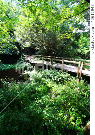 Scenery of the Kakita River Scenery of the Kakita River 43615948