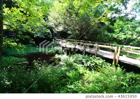 Scenery of the Kakita River Scenery of the Kakita River 43615950