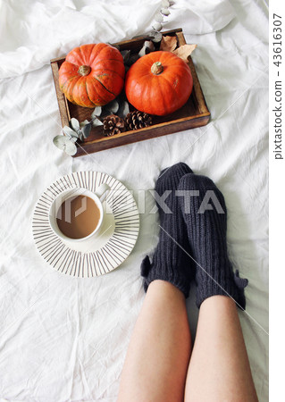 Autumn bed still life. Female legs in knitted socks and cup of coffee. Wooden tray with pumpkins Autumn bed still life. Female legs in knitted socks and cup of coffee. Wooden tray with pumpkins 43616307