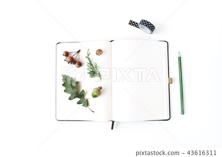 Autumn desktop stationery mock-up scene. Blank notebook with pencil, black washi tape, oak leaf 43616311