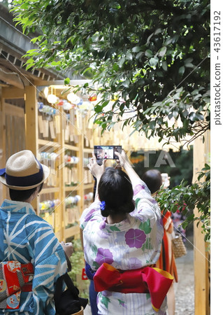 Young women with wind bells and yukata that are held in a shrine 43617192