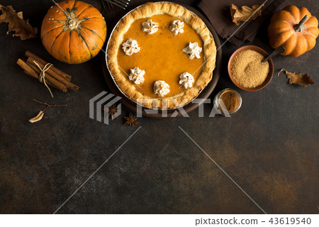 Pumpkin Pie Pumpkin Pie 43619540