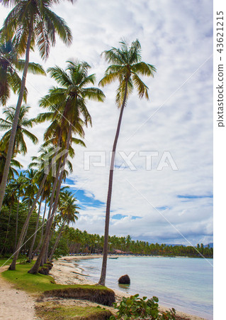 Tropical beach ladscape Tropical beach ladscape 43621215