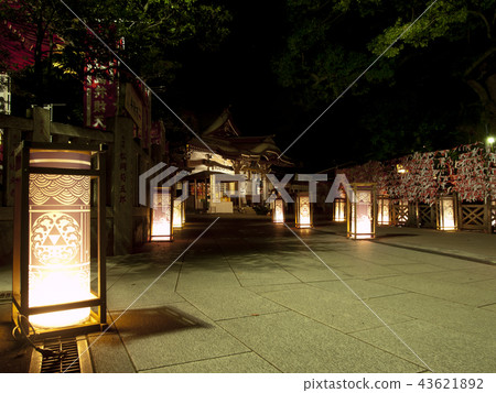 Enoshima燈籠Hezumiya Ejima Shrine Enoshima燈籠Hezumiya Ejima Shrine 43621892