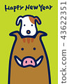 2019_ boar _1 43622351