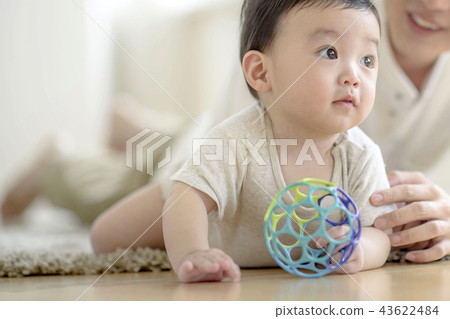 Three authorized families 43622484