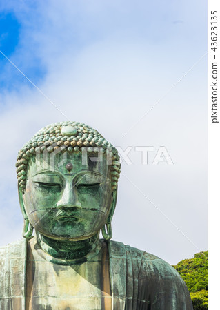 Great Buddha in kotokuin, kamakura, Japan. 43623135
