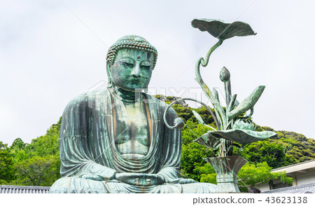 Great Buddha in kotokuin, kamakura, Japan. 43623138