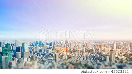panoramic city skyline in Tokyo, Japan. tilt shift 43623331