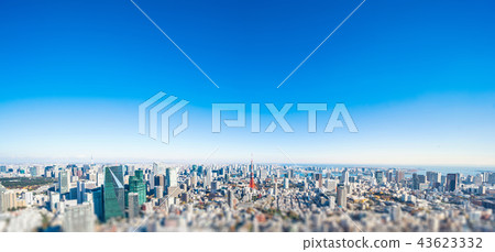 panoramic city skyline in Tokyo, Japan. tilt shift 43623332