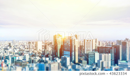 panoramic city skyline in Tokyo, Japan. tilt shift 43623334