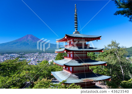 (Yamanashi Prefecture) Deep green Shin Kurayama Asama Park, Chu Ping Pagoda and Mt. Fuji (Yamanashi Prefecture) Deep green Shin Kurayama Asama Park, Chu Ping Pagoda and Mt. Fuji 43623540