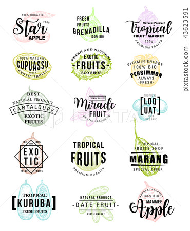 Exotic fruits farm market vector sketch lettering Exotic fruits farm market vector sketch lettering 43623591