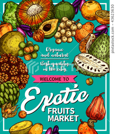 Exotic fruits farm market vector sketch poster 43623630