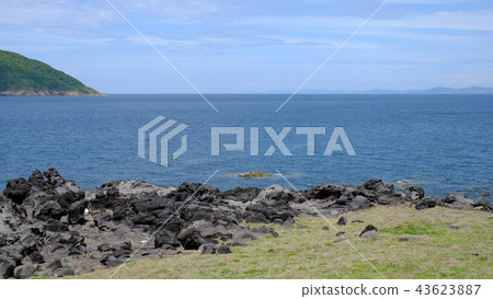 Remains of the sea 2017 14 Remains of the sea 2017 14 43623887
