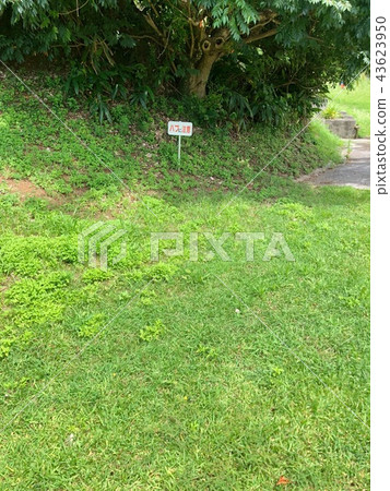 Hub attention Okinawa signboard Hub attention Okinawa signboard 43623950