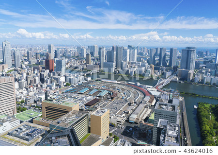 東京景觀,築地和海灣地區 東京景觀,築地和海灣地區 43624016