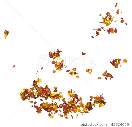 Autumn leaves isolated on white background 3D illustration 43624039