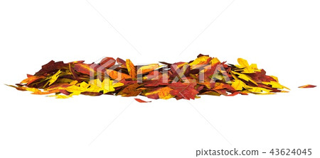 Autumn leaves isolated on white background 3D illustration 43624045