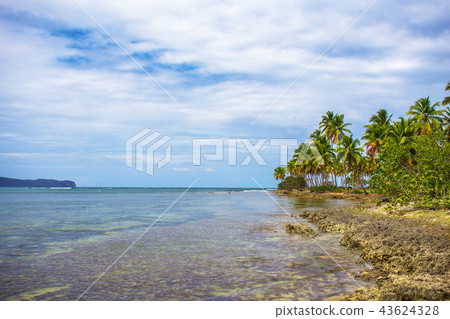Wild Tropical landscape 43624328