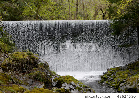 Shiraito Falls Shiraito Falls 43624550