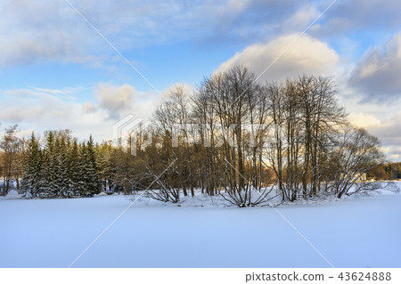 Frozen big pond in Catherine park. Pushkin Frozen big pond in Catherine park. Pushkin 43624888