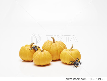 Orange halloween pumpkin white 43624939