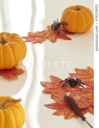 autumn halloween pumpkins on wooden 43624952
