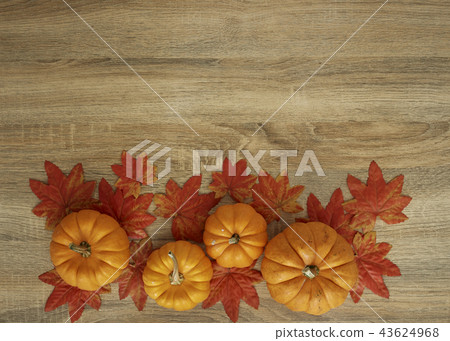 Autumn Harvested pumpkin on wooden Autumn Harvested pumpkin on wooden 43624968