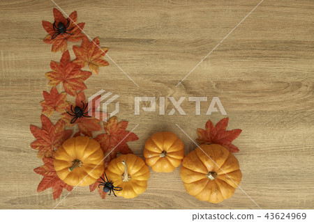 Pumpkin Autumn Thanksgiving Background 43624969