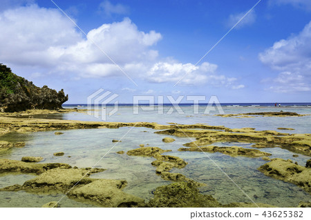 東海平和海灘 東海平和海灘 43625382