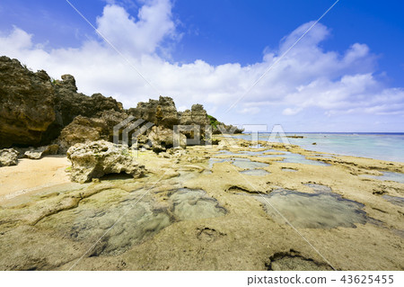 和平海濱東海濱 和平海濱東海濱 43625455