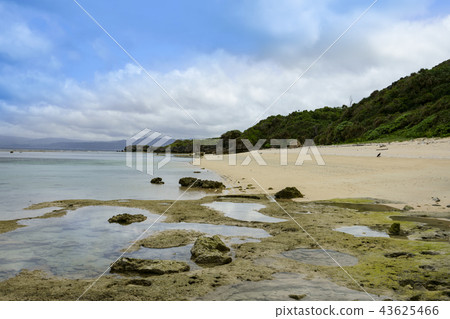 Peace Beach Tokaihama 43625466