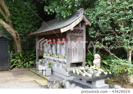 Jomidaji Ooka Echizen 43626029