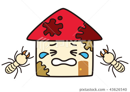 房屋的白蟻受損 43626540
