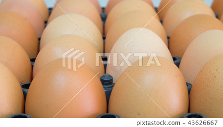Close up Fresh chicken eggs in the package Close up Fresh chicken eggs in the package 43626667