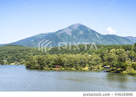 View Mt. Tateshina over Lake Shirakaba 43626806
