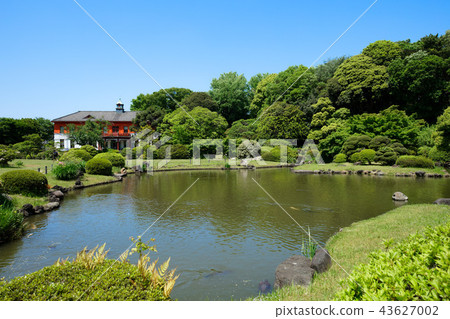 小石川植物園博物館和水邊的綠色 小石川植物園博物館和水邊的綠色 43627002