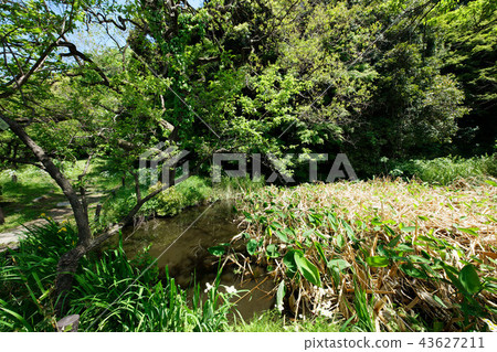 Waterside Mizukanna and Bairin Koishikawa Botanical Garden Waterside Mizukanna and Bairin Koishikawa Botanical Garden 43627211