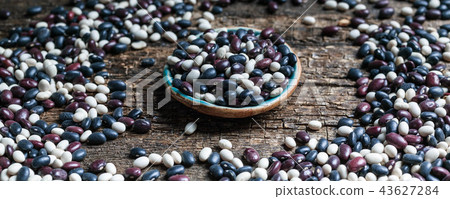 Food banner. Seeds of colored beans 43627284