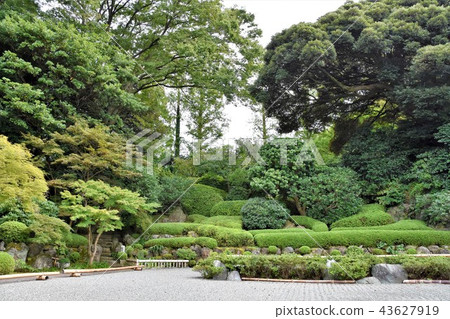 Jomidaji Ooka Echizen 43627919