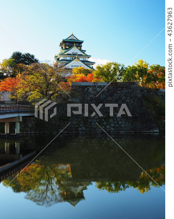 Osaka Castle of autumnal leaves 43627963