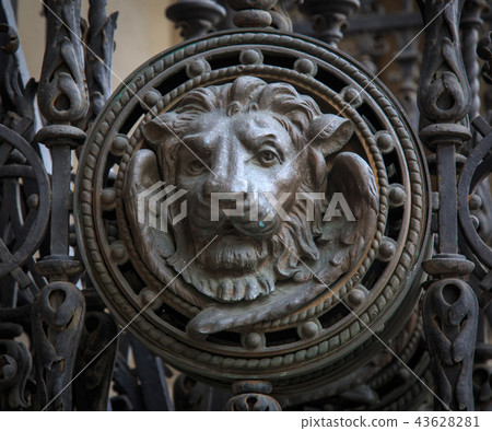 brass lion head on the door, black and white 43628281