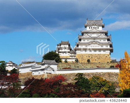 秋葉姬路城堡 43628440
