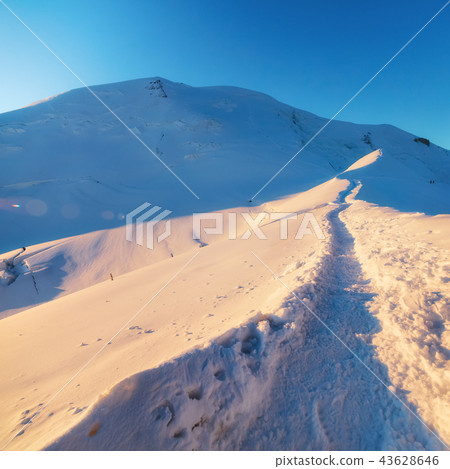 Trekking to the top of Mont Blanc mountain in French Alps 43628646